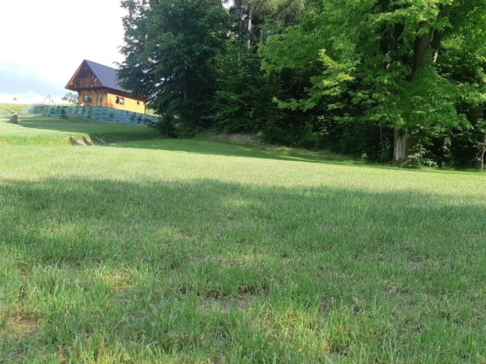Domek Na Wzgorzu "Wilk" Swiatkowa Mala 外观 照片